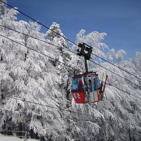 Pohorje Village Wellbeing Resort - Forest Apartments Videc ホコ・ポホリェ エクステリア 写真