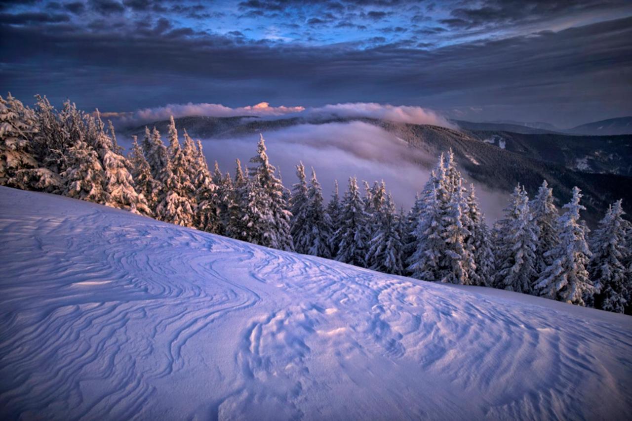 Pohorje Village Wellbeing Resort - Forest Apartments Videc ホコ・ポホリェ エクステリア 写真