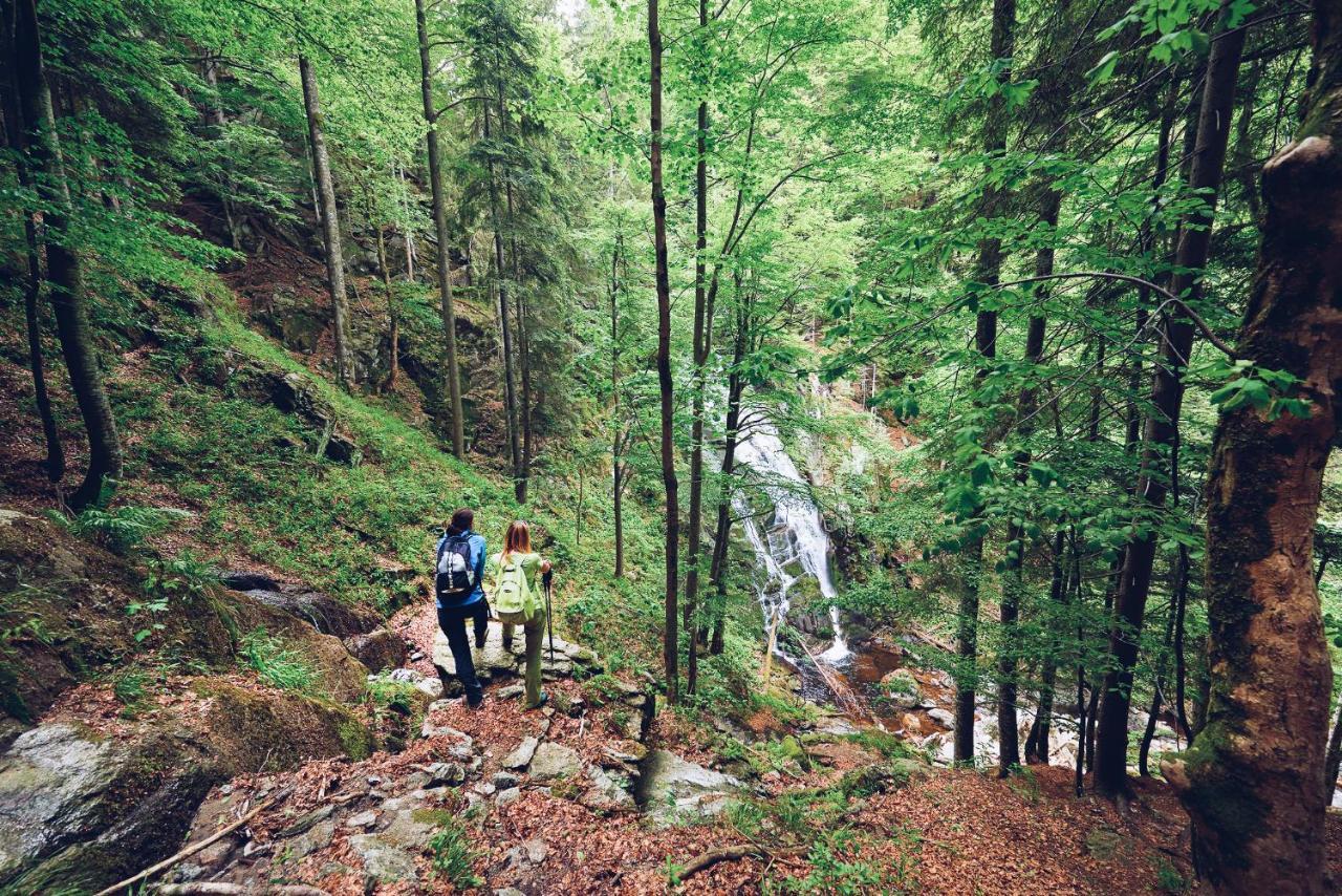 Pohorje Village Wellbeing Resort - Forest Apartments Videc ホコ・ポホリェ エクステリア 写真