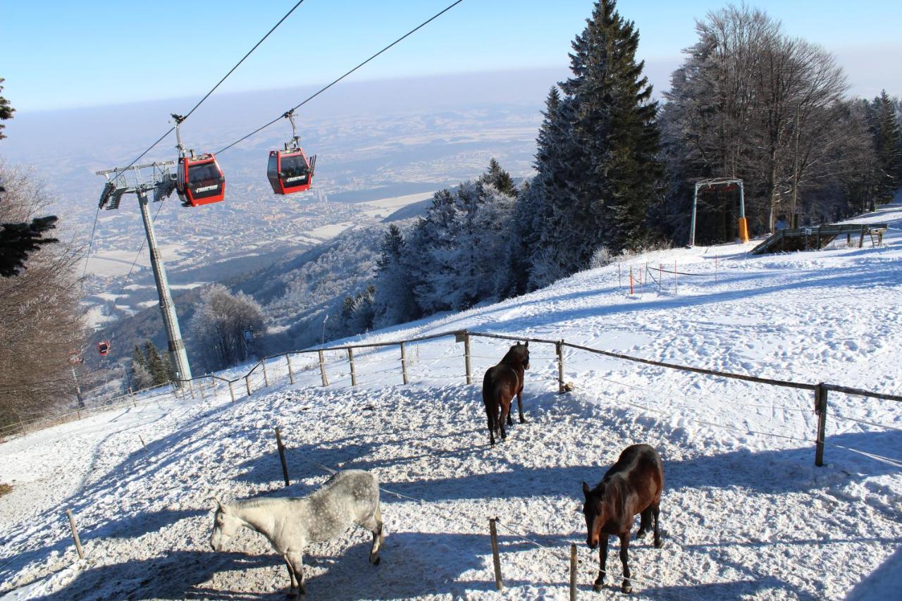Pohorje Village Wellbeing Resort - Forest Apartments Videc ホコ・ポホリェ エクステリア 写真