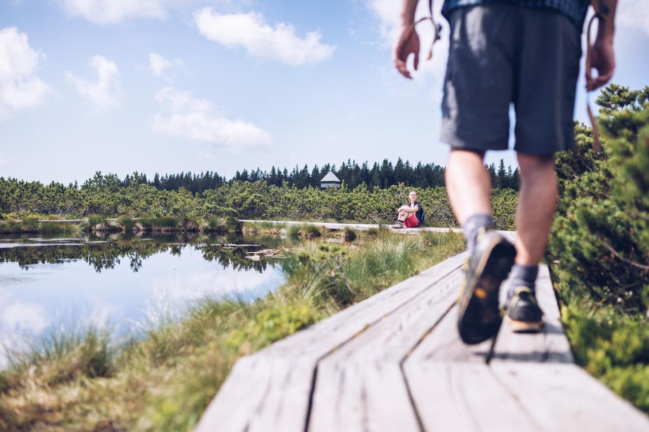Pohorje Village Wellbeing Resort - Forest Apartments Videc ホコ・ポホリェ エクステリア 写真