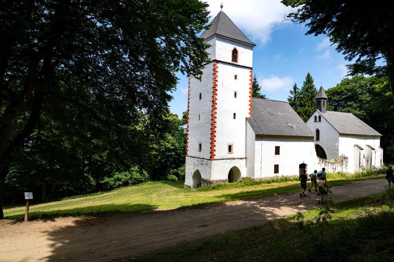 Pohorje Village Wellbeing Resort - Forest Apartments Videc ホコ・ポホリェ エクステリア 写真