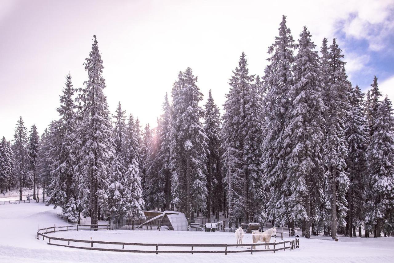 Pohorje Village Wellbeing Resort - Forest Apartments Videc ホコ・ポホリェ エクステリア 写真