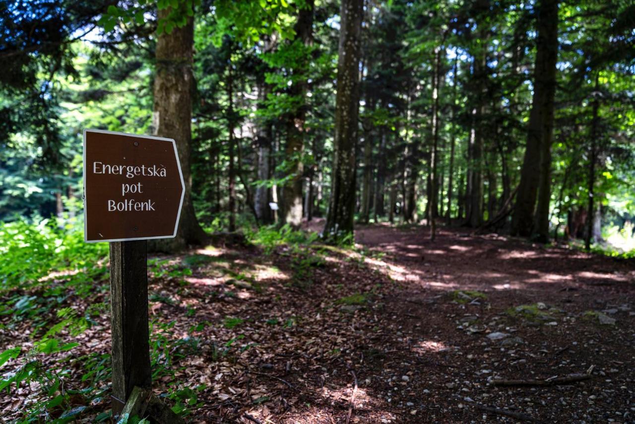 Pohorje Village Wellbeing Resort - Forest Apartments Videc ホコ・ポホリェ エクステリア 写真