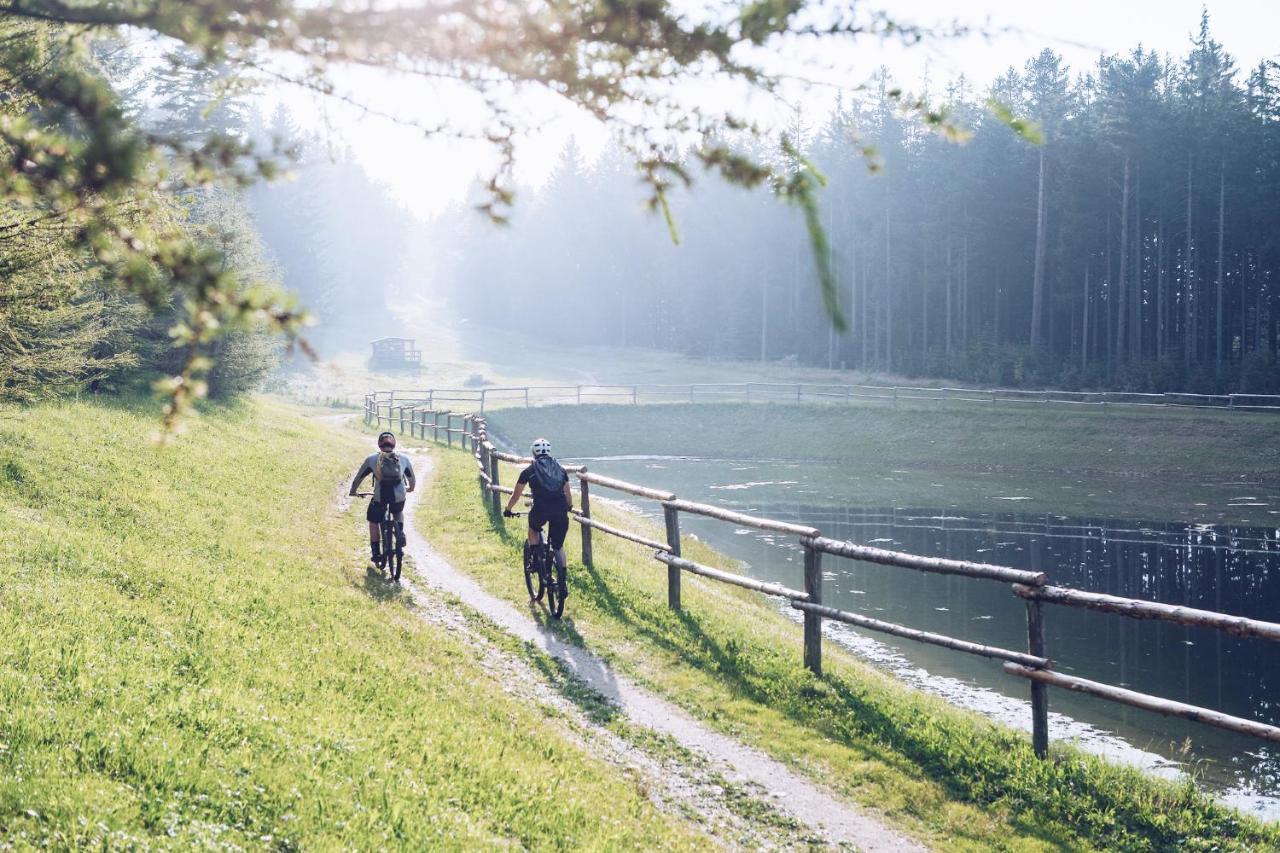 Pohorje Village Wellbeing Resort - Forest Apartments Videc ホコ・ポホリェ エクステリア 写真