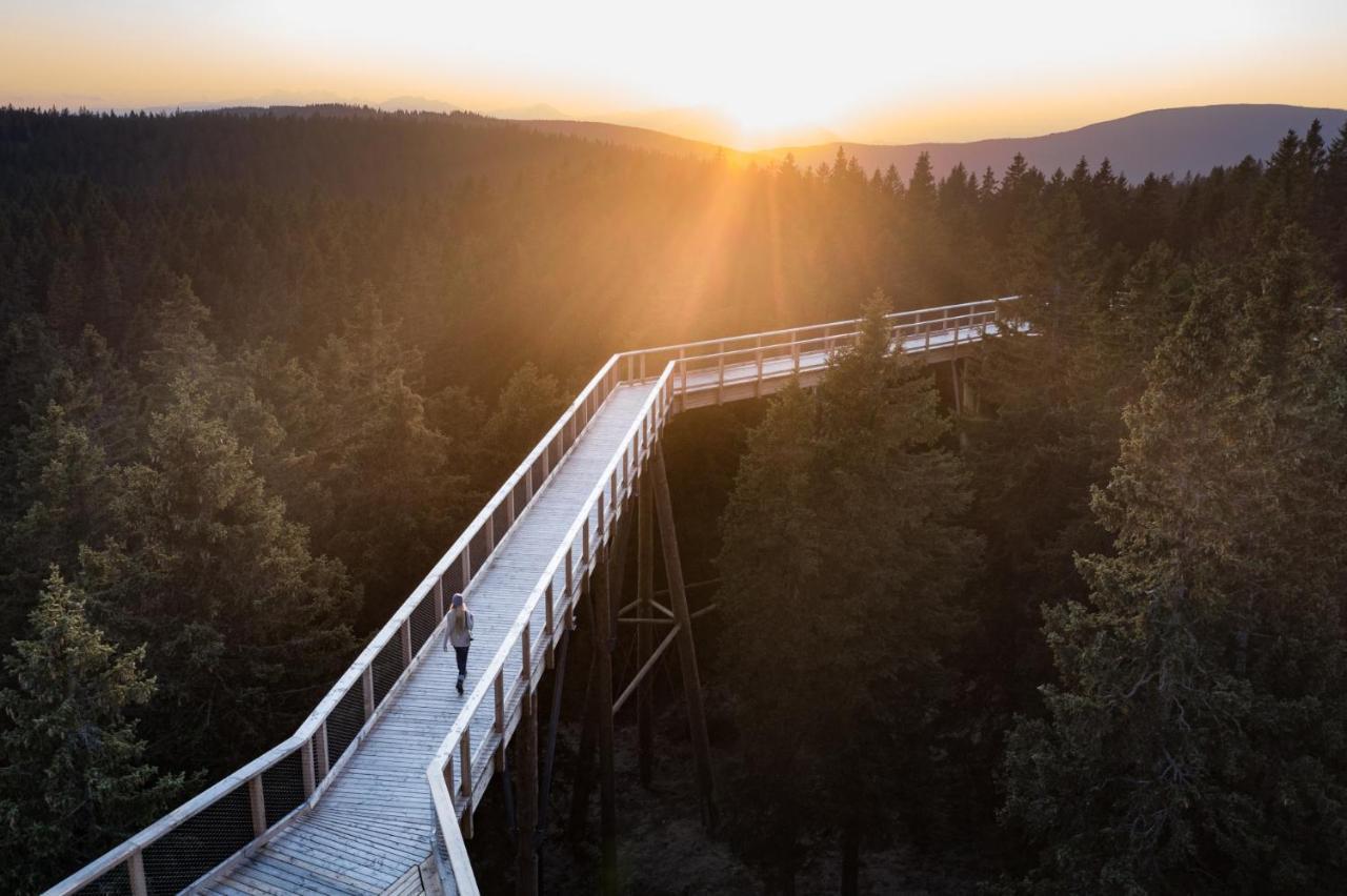 Pohorje Village Wellbeing Resort - Forest Apartments Videc ホコ・ポホリェ エクステリア 写真