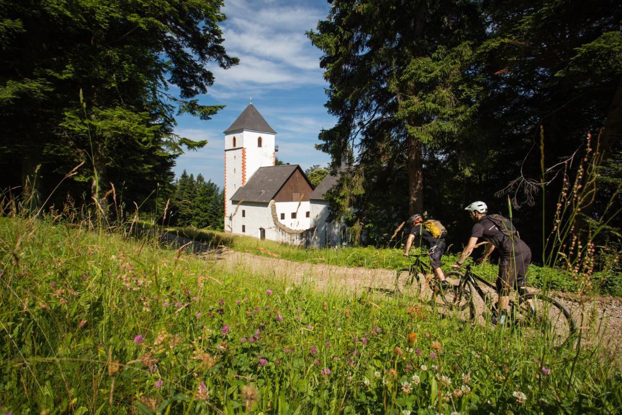 Pohorje Village Wellbeing Resort - Forest Apartments Videc ホコ・ポホリェ エクステリア 写真