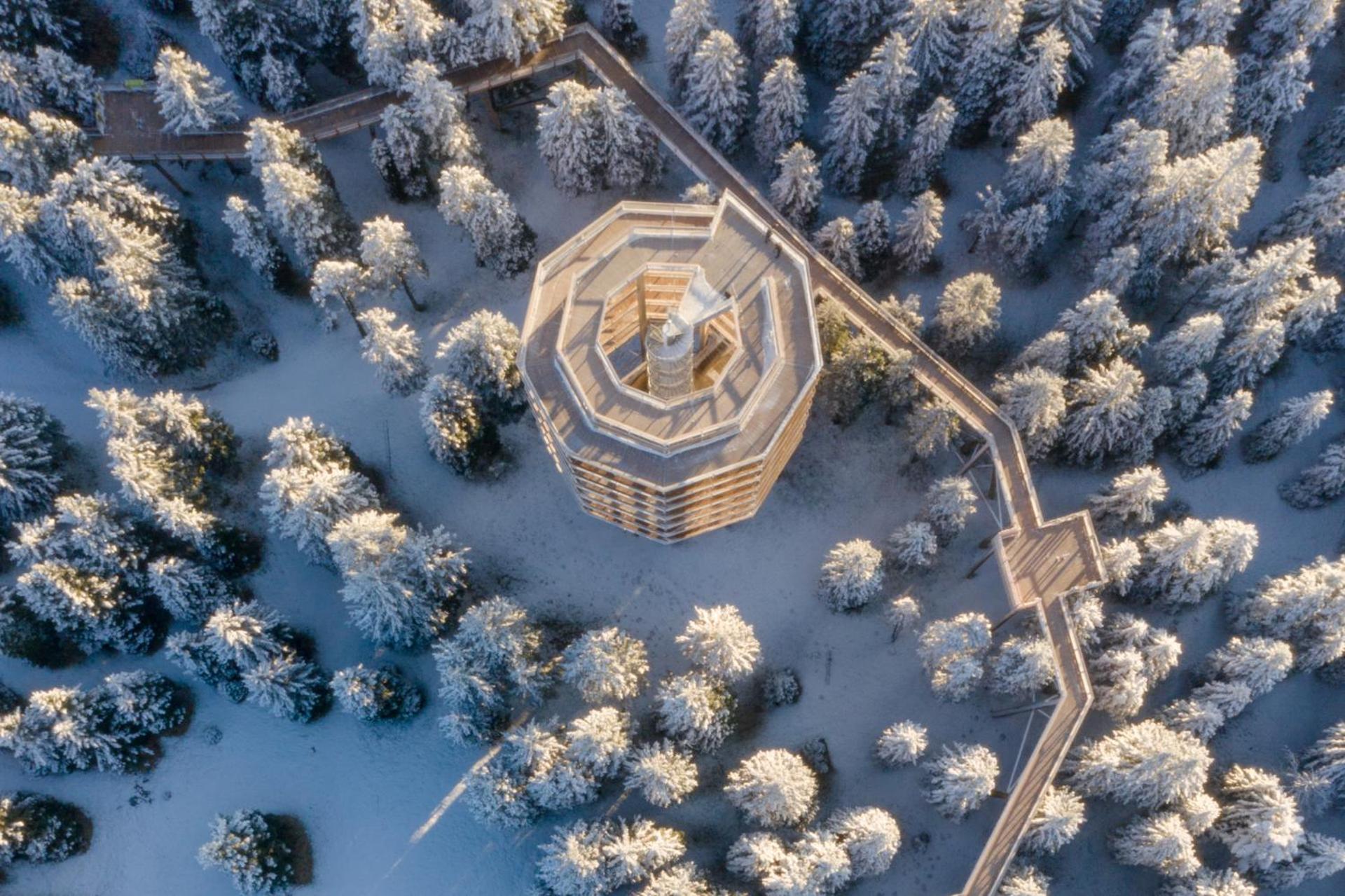 Pohorje Village Wellbeing Resort - Forest Apartments Videc ホコ・ポホリェ エクステリア 写真