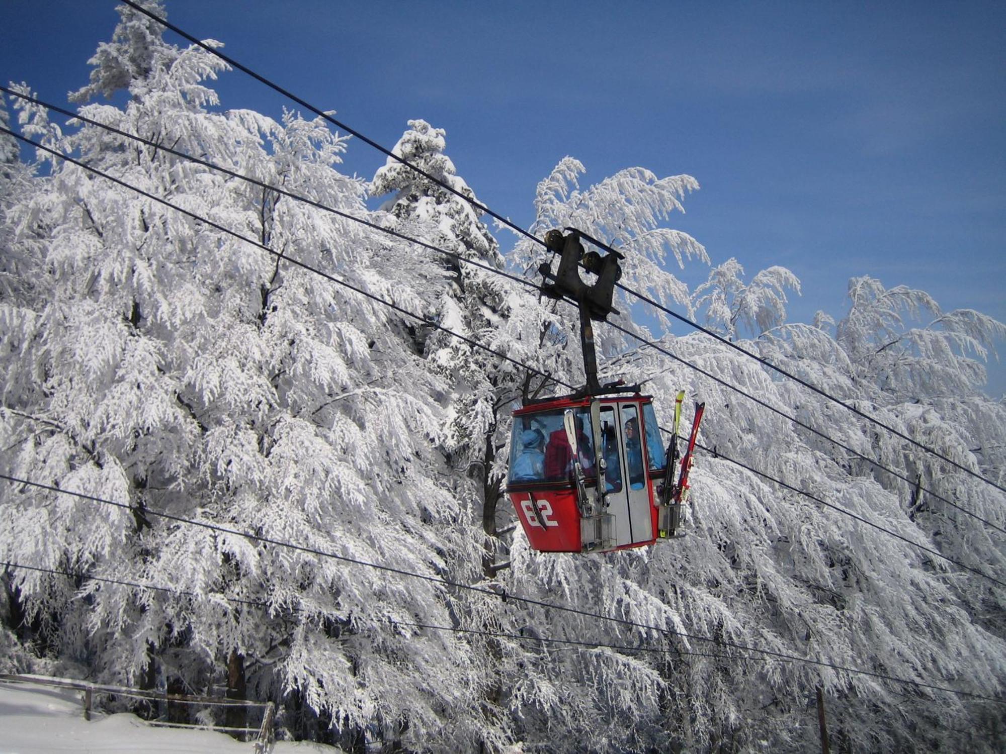Pohorje Village Wellbeing Resort - Forest Apartments Videc ホコ・ポホリェ エクステリア 写真